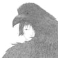 椎名林檎 Live Blu-ray/DVD《党大会 令和八年列島巡回》＜初回限定盤(Blu-ray/DVD＋Booklet)／通常盤(Blu-ray/DVD)＞