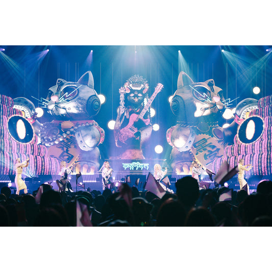 椎名林檎 Live Blu-ray/DVD《(生)林檎博'24-景気の回復-》＜初回限定盤(Blu-ray/DVD＋44頁Booklet)／通常盤(Blu-ray/DVD)＞